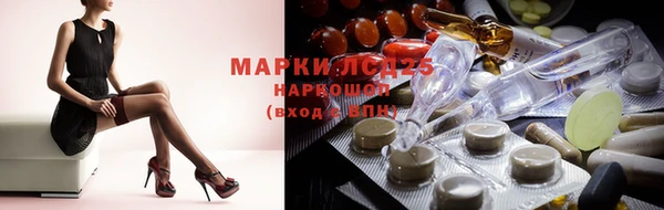 стафф Козельск