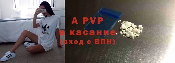 шишки Коряжма
