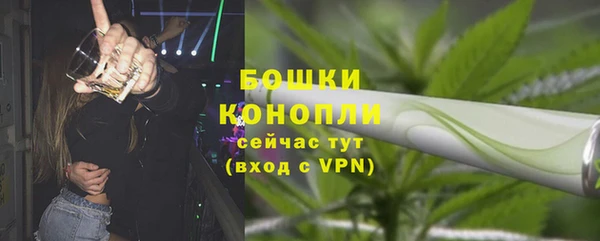 шишки Коряжма