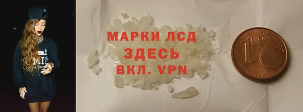 шишки Коряжма