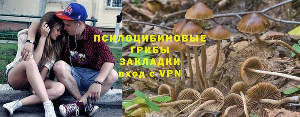 мдпв Козловка