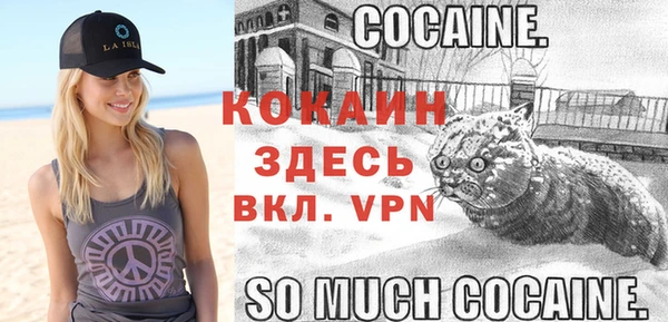мдпв Козловка