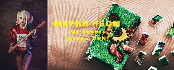 стафф Козельск