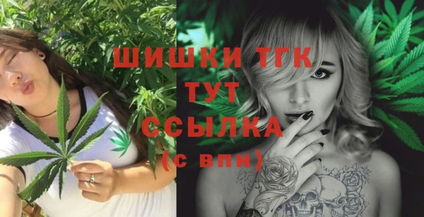 прущий лед Корсаков