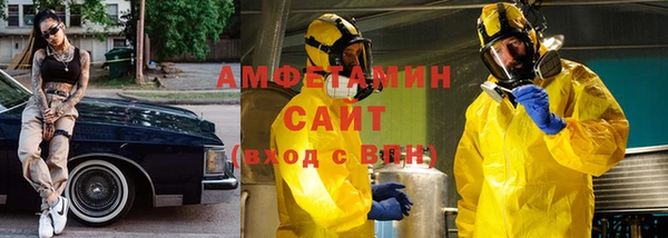 шишки Коряжма