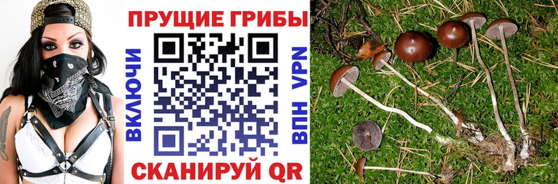 Галлюциногенные грибы ЛСД  Бердск 